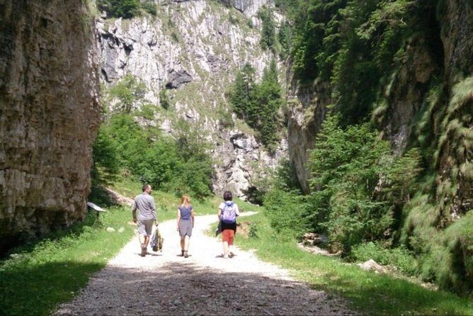 1 day CARPATHIAN PEAKS & CHALETS hike - Who should book this Carpathian Peaks hike (and who should skip it)