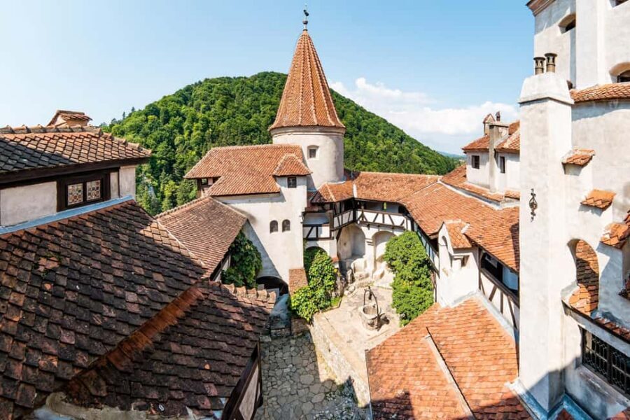 3 Castle Bucharest: Dracula Castle, Wednesday & Peles Castle - Pacing and Group Reality: Breaks, Photo Stops, and Busy Roads