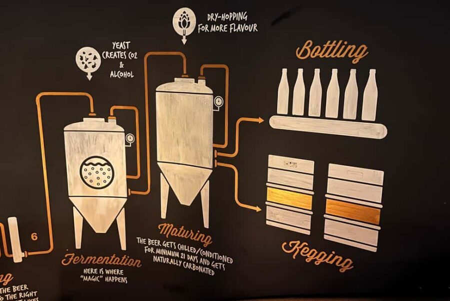 4 Craft Premium Beers Tasting with the Brewer - Brewing process talk: why the science makes the tasting better