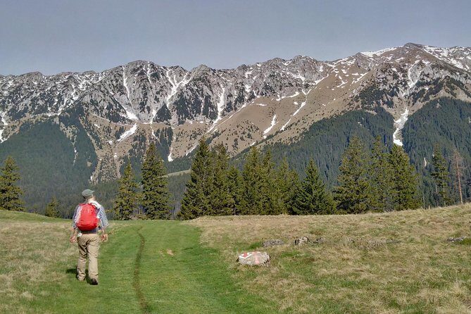 4-Day Carpathian Trek: Bucegi Mountains and Piatra Craiului National Park - Bucegi + Piatra Craiului: the Carpathians at full volume