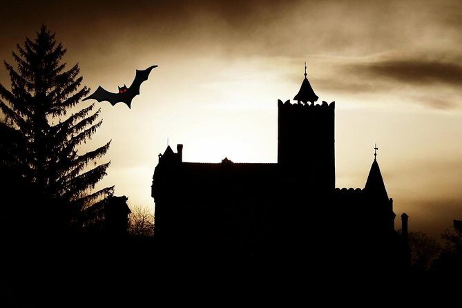 4-Day Transylvania and Dracula Tour from Bucharest - Price and Logistics: What You Pay For