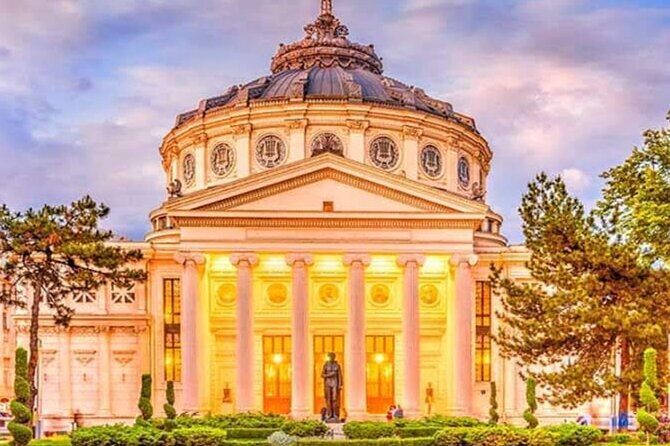 5h Bucharest City Tour by Car/Minivan – Small Group max 7 people - Văcărești Natural Park: The Delta of Bucharest in City Form
