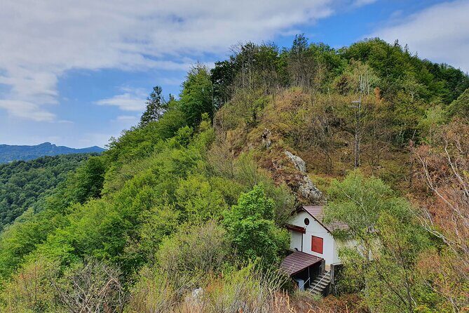 7-hour Private Tour to Bran Castle from Bucharest - Value and Price: Why $346.78 Can Be Fair (If You Compare Properly)