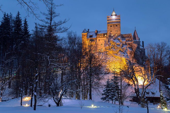 Bear Sanctuary and Bran Castle with a Professional Licensed Guide—Day Trip - From Brașov morning pickup to a full 6.5-hour day