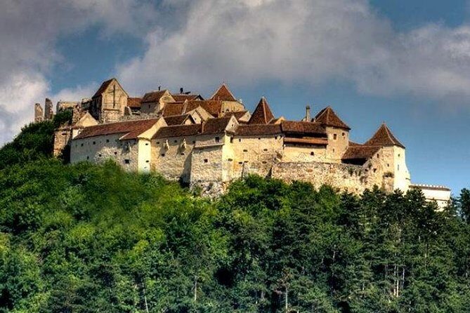 Bear Sanctuary & Rasnov Fortress - Private day tour from Bucharest - Price and Value: Is $184.62 Fair for This Kind of Day?