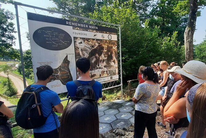 Bears Sanctuary, Dracula Castle and Poiana Brasov-Private day tour from Brasov - Poiana Brașov: Mountain Resort Views and a Flexible Evening