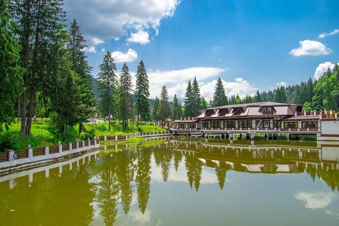 Bears Sanctuary, Dracula Castle and Poiana Brasov-Private day tour from Brasov - Who This Tour Fits Best
