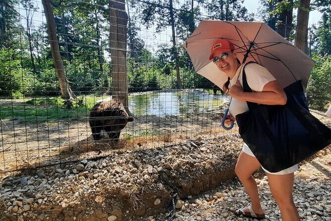 Bears Sanctuary, Dracula Castle and Poiana Brasov-Private day tour from Brasov - Should You Book This Bears Sanctuary, Bran Castle, and Poiana Brașov Tour?