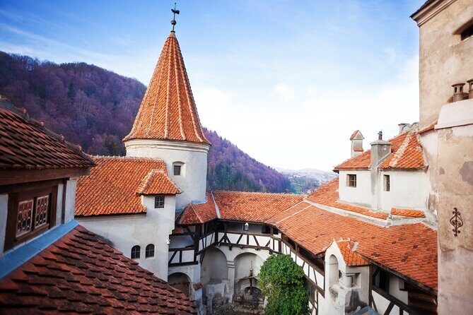 Bears Sanctuary, Dracula Castle and Poiana Brasov-Private day tour from Brasov - Libearty Bear Sanctuary Zărnești: Why Morning Matters