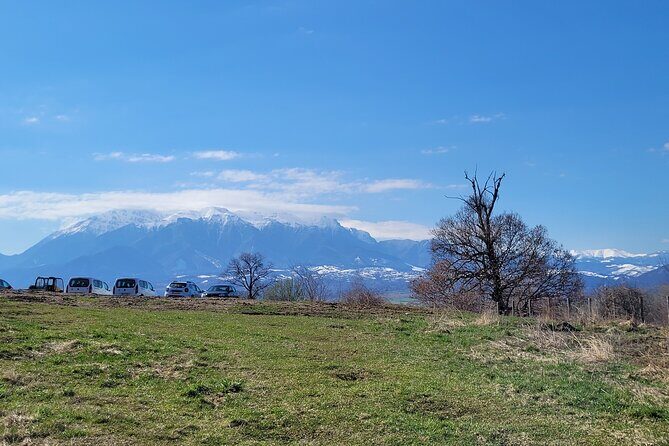 Bran Castle & Bear Sanctuary from Brasov - Optional Peles Castle - The day’s timing: how to budget your schedule