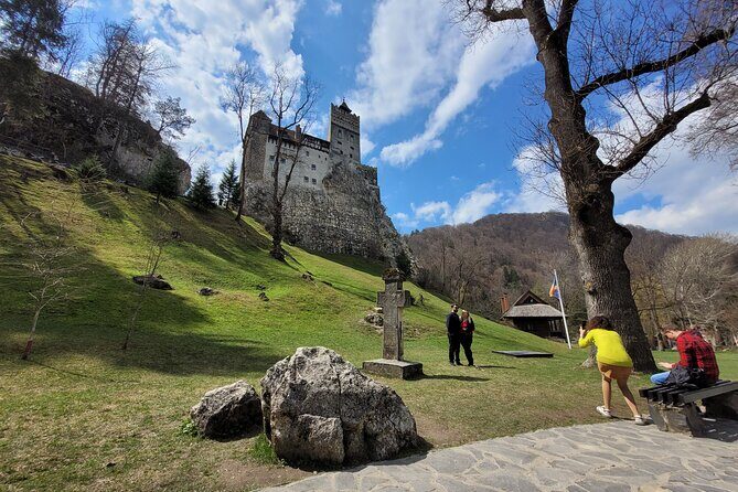 Bran Castle & Bear Sanctuary from Brasov - Optional Peles Castle - Liberty Bear Sanctuary Zărnești: conservation you can see