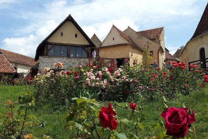 Bran Castle, Rasnov Fortress, Harman & Prejmer Fortified Churches Day Tour - Stop 4: Rasnov Fortress Views, Choo Choo Train, and the Closed Upper Area