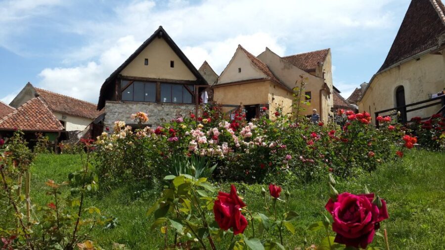 Brasov: Bear Sanctuary, Bran Castle & Rasnov Fortress Tour - Key Things That Make This Tour Worth Your Time