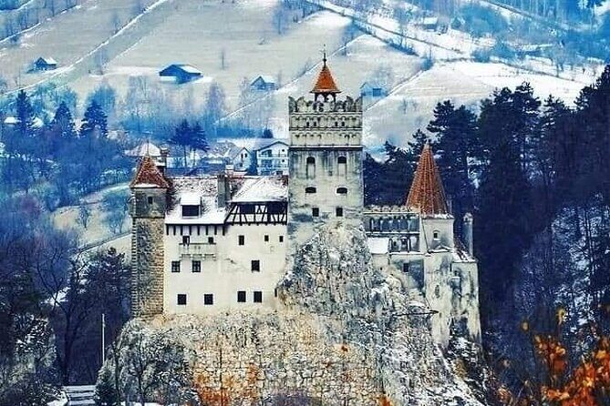 Brasov: Bears Sanctuary, Rasnov Fortress, Bran Castle GUIDED Tour - Why This Day Trip Feels Efficient (Not Crushed)