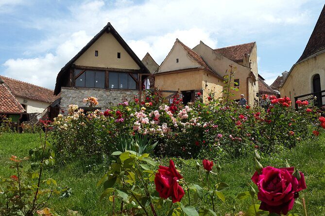 Brasov: Bears Sanctuary, Rasnov Fortress, Bran Castle GUIDED Tour - Guides Make the Difference: Punctual, Funny, and Question-Friendly