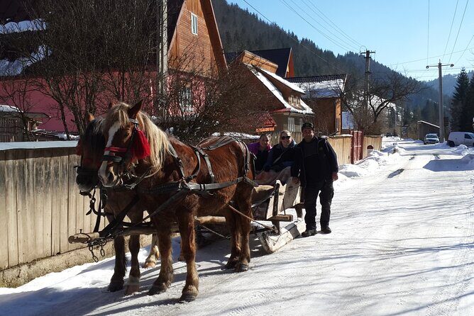 Brasov: Bears Sanctuary, Rasnov Fortress, Bran Castle GUIDED Tour - What to Wear and How Much Walking to Expect