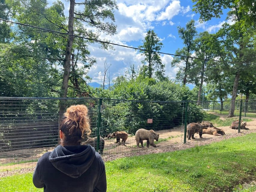 Brasov: Bran Castle, Bear Sanctuary, Rasnov (Peles Optional) - Key Highlights You Should Care About