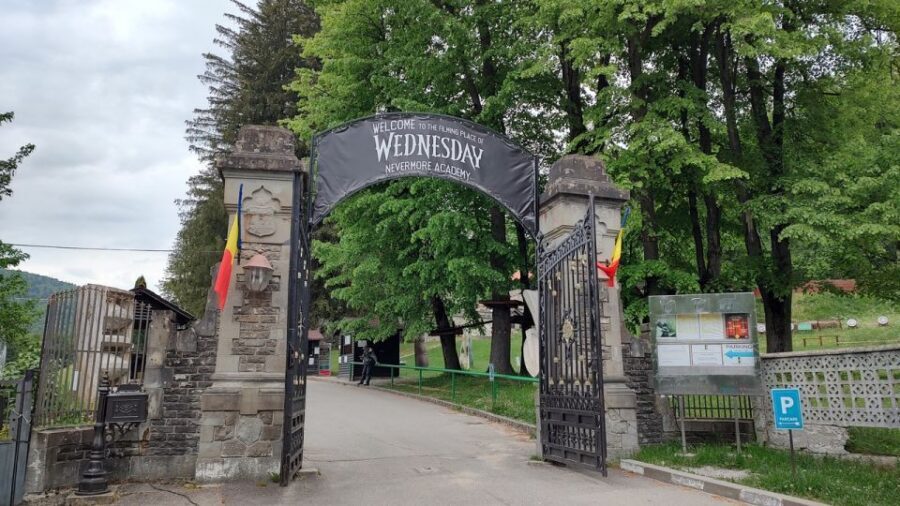 Brasov: Bran, Peles and Cantacuzino Castles Day Tour - Peleș Castle with priority access: what you gain and what you must book