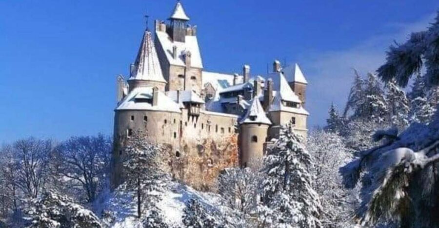 Brasov: Bran, Peles and Cantacuzino Castles Day Tour - Bran Castle: Vlad the Impaler, Dracula stories, and guided clarity