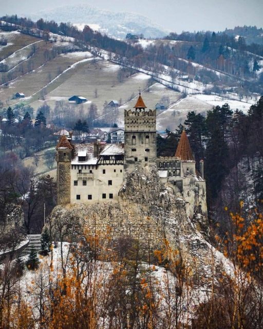 Brasov: Bran, Peles and Cantacuzino Castles Day Tour - Small-group tour with real guide personalities (and better flow)