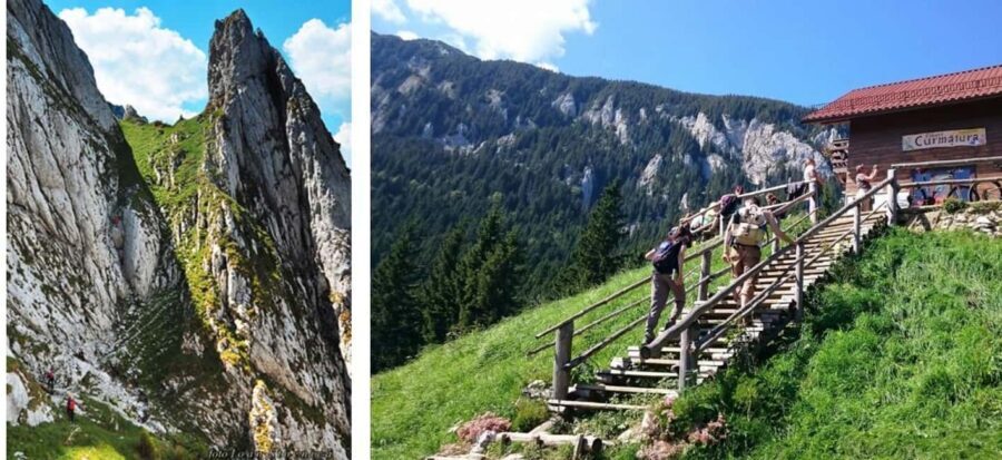 Brașov: Carpathian Mountains Guided Hike with Pickup - Bucegi Mountains: Sphinx and Babele to Omu Peak (2,505 m)