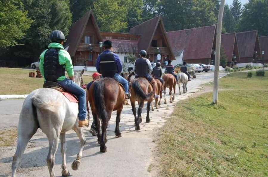 Brașov: Horseback Riding Experience - Key details that matter (and why)