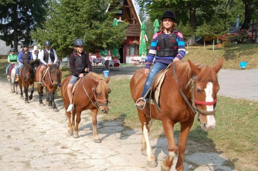Brașov: Horseback Riding Experience - Meeting the Riding Team and Getting Clear Safety Instructions