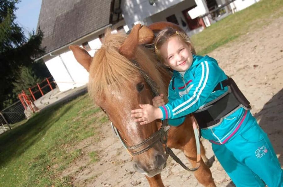 Brașov: Horseback Riding Experience - What to Wear and Bring (So the Ride Feels Easy)