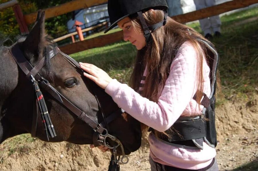 Brașov: Horseback Riding Experience - Timing, Weather, and Who This Works Best For