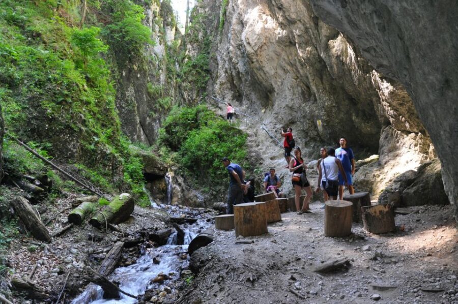 Brasov: Small-Group 7 Ladders Canyon Day Trip - Seven Ladders Canyon: Why This 4-Hour Trip Feels Like More