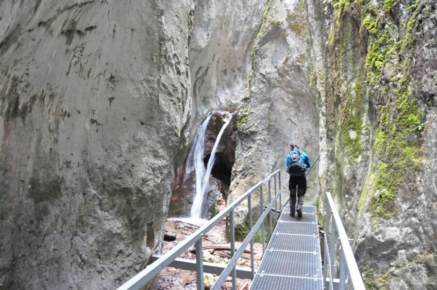 Brasov: Small-Group 7 Ladders Canyon Day Trip - Price and what you really get for $76