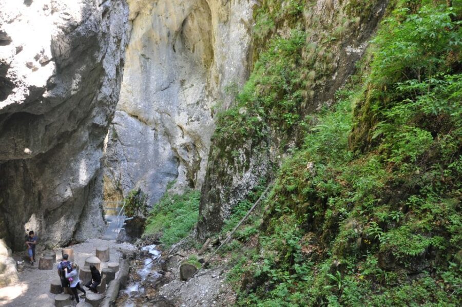 Brasov: Small-Group 7 Ladders Canyon Day Trip - Who should book this Seven Ladders day trip?