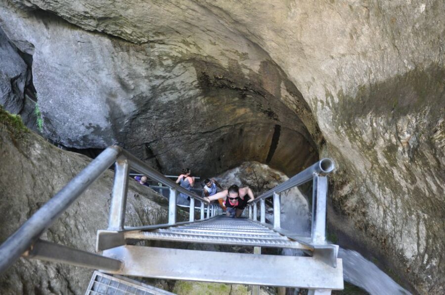 Brasov: Small-Group 7 Ladders Canyon Day Trip - The guided walk to the canyon: forests, streams, and a gentle warm-up