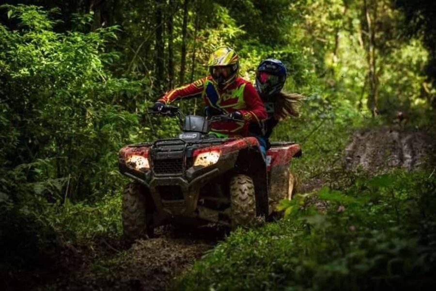 Brașov: Snowmobile / ATV Adventure with Hotel Pickup - Your Hour in the Carpathians: Adrenaline With a View