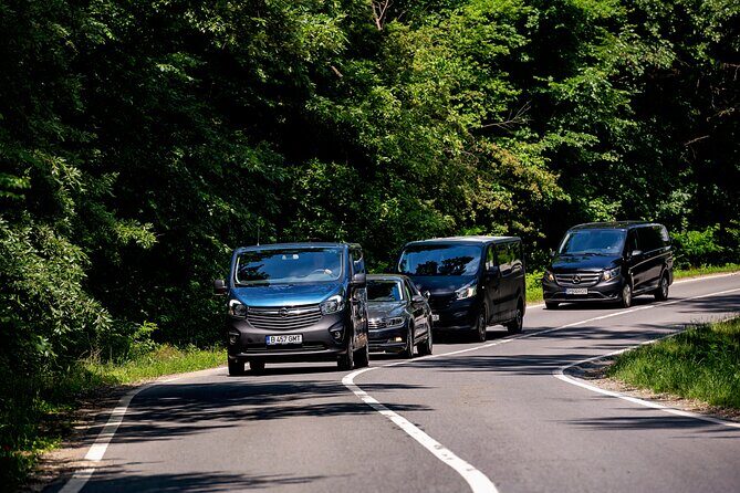 Bucharest Airport Private Transfer - Private Minivan Pickup at Henri Coandă: What to Expect Right Away
