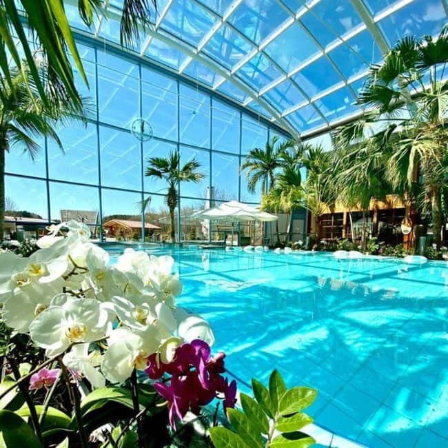 Bucharest: All Day Therme with Elysium Experience - The Transfer from GRAND HOTEL BUCHAREST: Comfort and Control