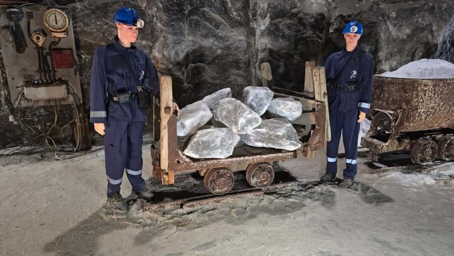 Bucharest Bus Tour: Salt mine & Dracula Tomb Half Day Trip - English guide care and the WhatsApp system that keeps you sane
