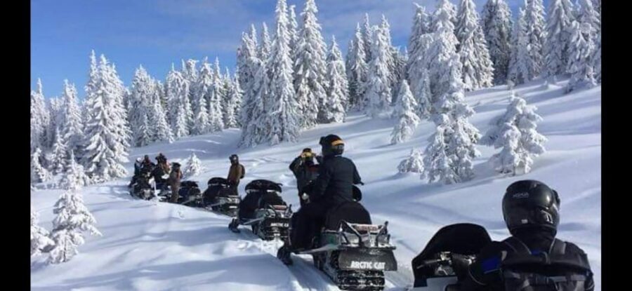 Bucharest: Carpathian Snowmobile / ATV Adventure Tour - Snowmobile vs ATV: who can drive and how to plan your comfort