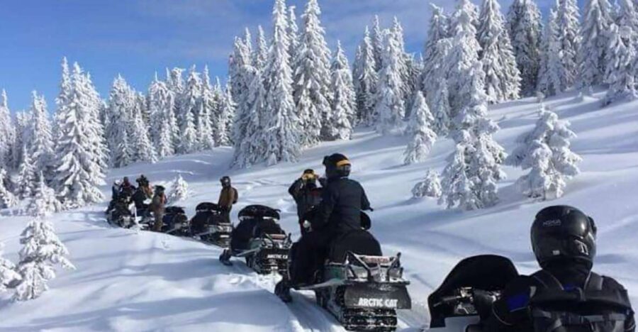 Bucharest: Carpathian Snowmobile / ATV Adventure Tour - Price and logistics: what’s included in $72, and what you must add