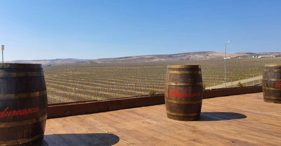 Bucharest: Dealu Mare Winery Private Trip with Wine Tasting - Dealu Mare by private car: the smooth Bucharest start
