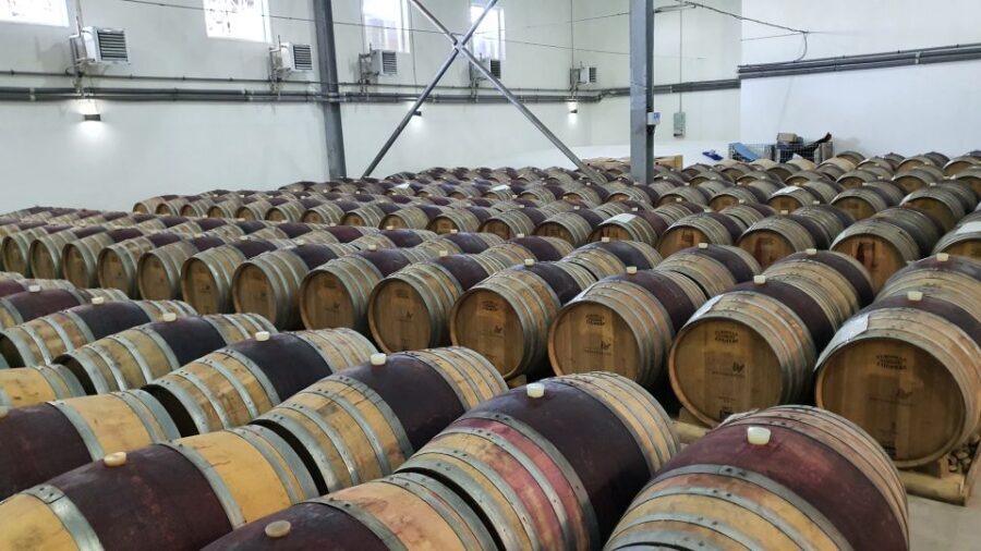 Bucharest: Dealu Mare Winery Private Trip with Wine Tasting - Vineyard touring at stop one: turning a tasting into a real process