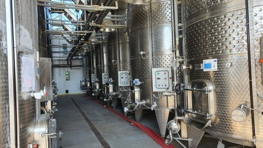 Bucharest: Dealu Mare Winery Private Trip with Wine Tasting - The about-7-wine tasting and finger food: how to enjoy it