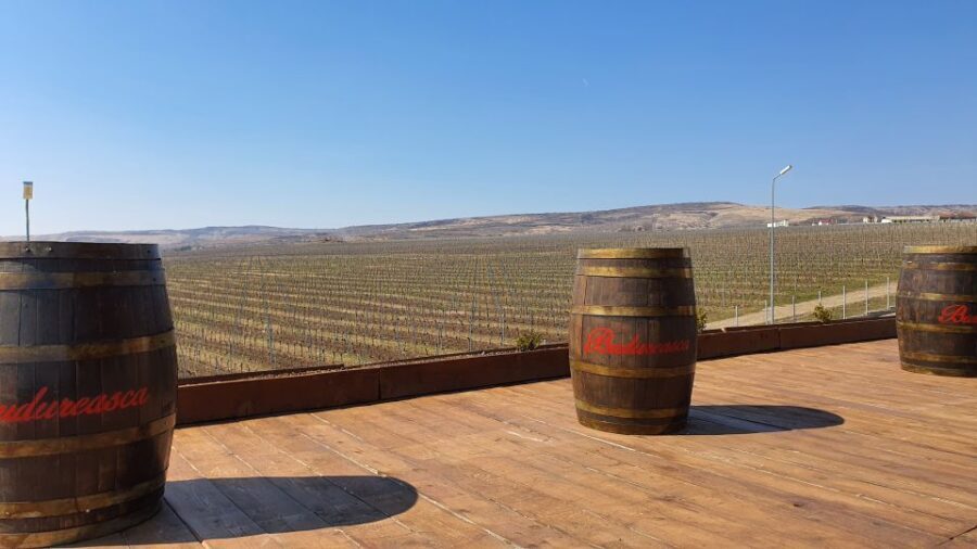 Bucharest: Dealu Mare Winery Private Trip with Wine Tasting - The drive out of Bucharest: what to notice on the way