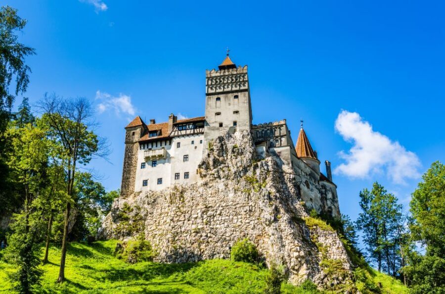 Bucharest: Dracula Castle, Peles Castle & Brasov Guided Tour - Price and Value: Is $116 a Good Deal for Two Castles and a Town Walk?