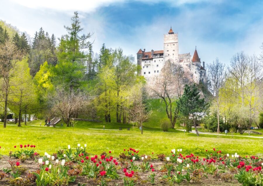 Bucharest: Dracula Castle, Peles Castle & Brasov Guided Tour - Central Pickup and Set Route: How This Tour Keeps You Moving