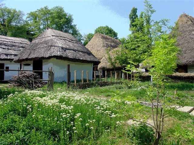 Bucharest: Private City Tour Guided Experience - Lipscani’s Jumble of Streets: Belle Époque Charm in the Old Center