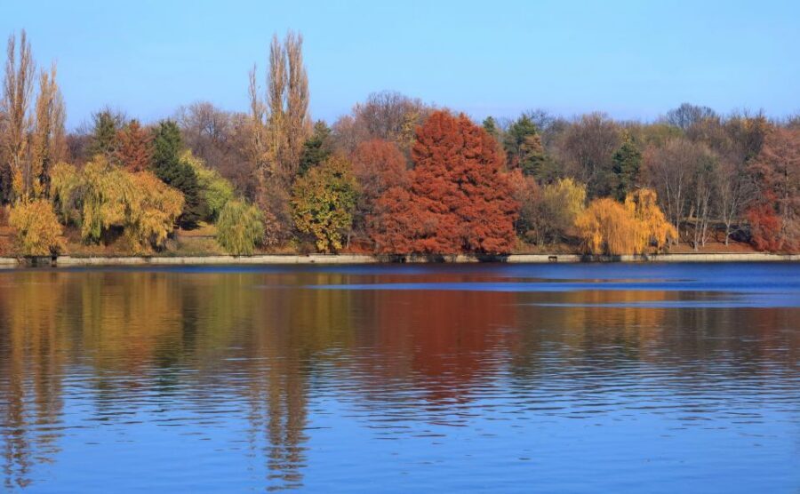 Bucharest Sightseeing Tour - Price and value: is $80 a fair deal?