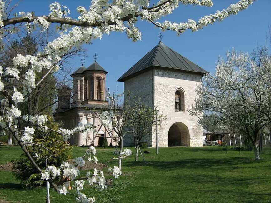 Bucharest: Slanic Salt Mine & Dracula's Grave - Private Tour - FAQ