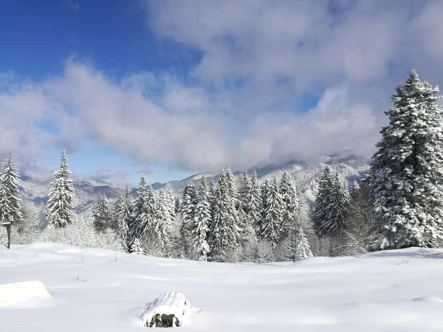 Bucharest: Snowmobile or ATV in the Carpathian Mountains - Getting from Bucharest to Busteni without making it a mission