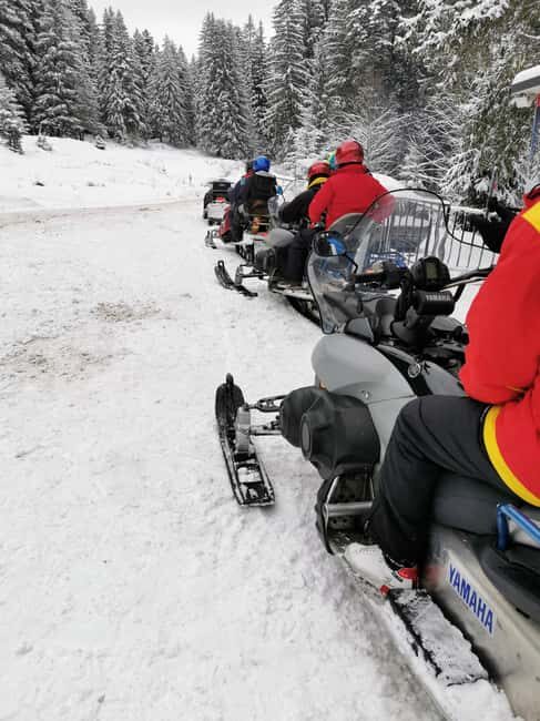 Bucharest: Snowmobile or ATV in the Carpathian Mountains - ATV vs snowmobile: how to pick the right kind of speed